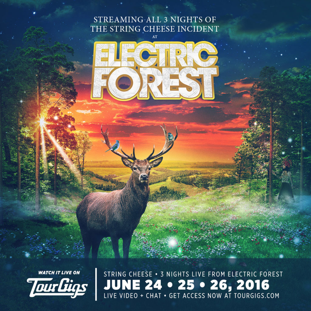 Forest Hill Live Stream