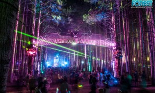 SCI returns to Electric Forest in 2013!