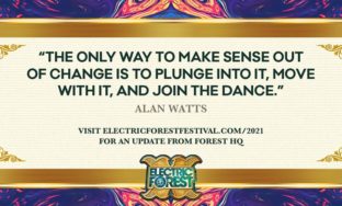 ⚡🌲 Looking Forward to Electric Forest 2021!
